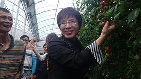 國民黨主席洪秀柱。（圖／國民黨提供）