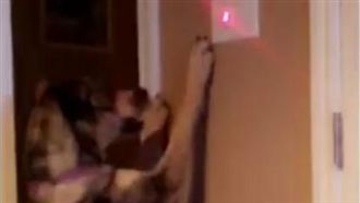 嫌下床關燈麻煩　天才主人拐狗狗幫關