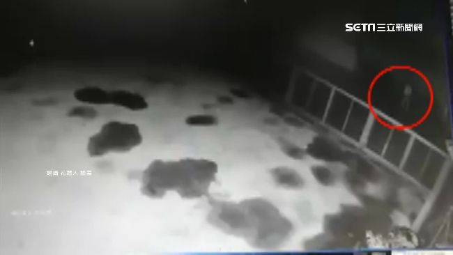 疑不滿被吠　醉男竟拿石頭丟狗、砸車