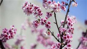 旅遊滔客(圖片版權屬於滔客線上雜誌)