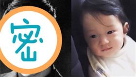 隋棠、Max/臉書、IG