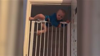 蜘蛛人接班現身　超強寶寶爬牆