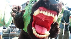 日本名產，獵奇，進化，北海道，夕張，哈密瓜熊，吉祥物，翻攝自日本網站Curazy