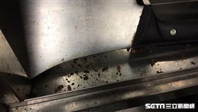 台北市衛生局今（14）天派員前往大倉久和大飯店進行衛生稽查發現，菜刀消毒櫃有蟑螂出沒。（圖／台北市衛生局提供）