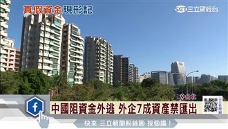 陸肥咖條款逼回資金？謝金河這樣說