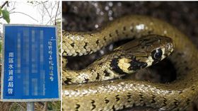 告示牌,人,野峰,毒蛇,山神,南區水資源局,大黃蜂,白蛇娘娘,中文　圖／爆料公社&pixabay https://goo.gl/OaPKCj