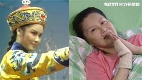 「小王爺」陳麗麗／資料照