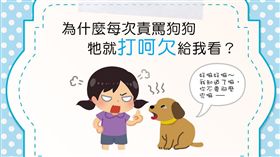 名家_毛起來_一罵狗狗就打哈欠