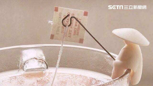 姜太公屁屁穩坐　比杯緣子可愛5分？