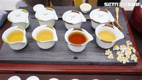 這茶醜醜被蟲咬　喝起來竟有濃濃花香？(圖／李鴻典攝)
