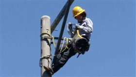 台電搶修生力軍  正妹入列
去年考進台電的何孟穎，現在是負責停電搶修的生力軍
，受訓成績甚至贏過大多數男生，期待更多學弟妹加入
台電，一起為台灣來電。(台電提供)

中央社記者林孟汝傳真  106年1月13日