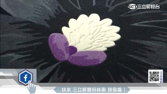 鎖定高端族群　頂級地毯進軍台灣