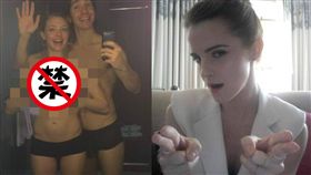 艾瑪華森（Emma Watson）、亞曼達塞佛瑞（Amanda Seyfried）／臉書、inquisitr