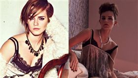 艾瑪華森（Emma Watson）、亞曼達塞佛瑞（Amanda Seyfried）／臉書、inquisitr