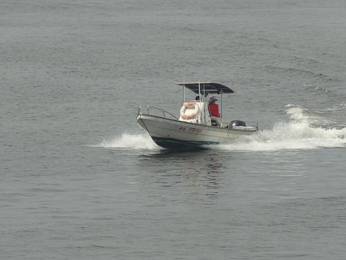 林園鳳芸宮/海巡媽