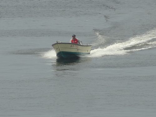 林園鳳芸宮/海巡媽