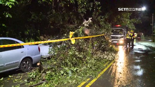 連日大雨土石鬆動　路樹倒塌壓2車