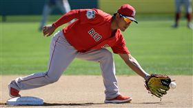 ▲林子偉在大聯盟春訓表現不俗。（資料照／美聯社／達志影像）