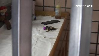 衣架穿門縫偷鑰匙　竊賊竟是社區住戶