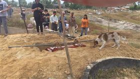 不捨主人過世，忠犬狂追送葬車隊。（圖／翻攝自Leong Khai Wai 臉書）