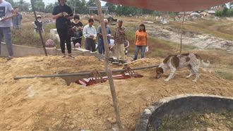不捨主人離去…忠犬追送葬車隊3公里