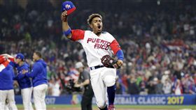 ▲擊退強敵美國後，Francisco Lindor忘情大喊。（圖／美聯社／達志影像）