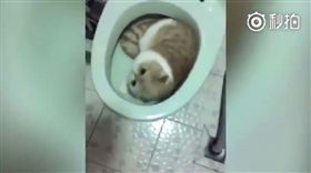 圖／翻攝自YouTube