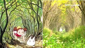 「龍貓隧道」秘境夯　車亂停卻難開罰