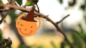 水果　釋迦
https://www.flickr.com/photos/d6478coke/4255724743/in/photolist-7u4GGx-4u97Rb-8p8cWs-kiHBEg-oah15W-bepUJ-7rgmit-4u8Ygw-beqTY-4u8YpQ-4u4XGx-4u5bMM-4u55wv-4u55Zg-rbZ6bL-5jVqGr-nb1XyQ-4u4XPn-4u4Xmr