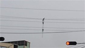 台電人員施工更換電線零件。（圖／翻攝自爆料公社臉書）