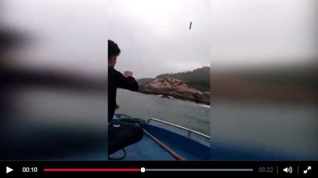 抹香鯨擱淺一屍兩命！海域疑有人炸魚