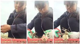 女子剪紅蔥頭，順便剪了耳機 圖翻攝自爆料公社 https://www.facebook.com/162608724089621/videos/446995302317627/