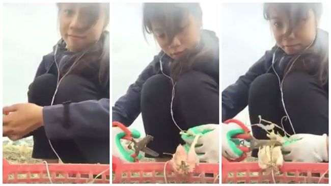 女剪紅蔥頭自拍　下秒「噗滋」釀悲劇