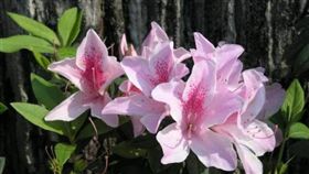 旅遊滔客(圖片版權屬於滔客線上雜誌)