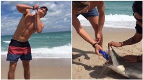 鯊魚,擱淺,海灘,海邊,開瓶器,牙齒/IG