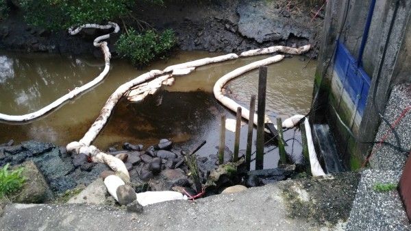 老協珍重油汙染八里　遭罰600萬