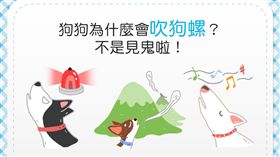 名家_毛起來MaoUp_狗狗吹狗螺