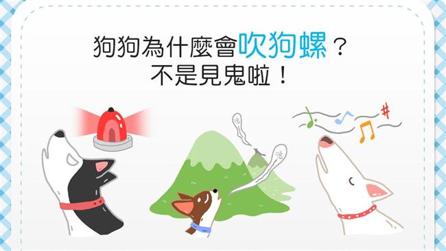 狗「吹狗螺」是見鬼？真相是這3原因