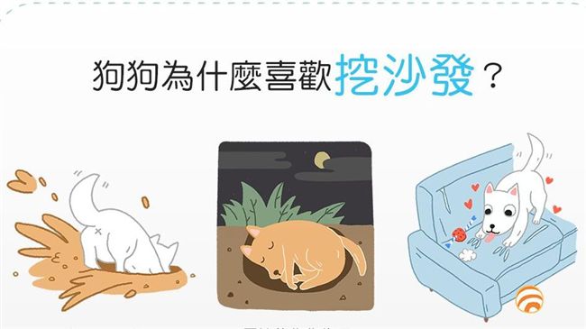 狗狗老是喜歡挖沙發　是在找寶物嗎？