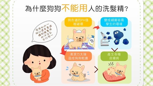 狗狗皮膚越洗越糟？不能用人的洗髮精