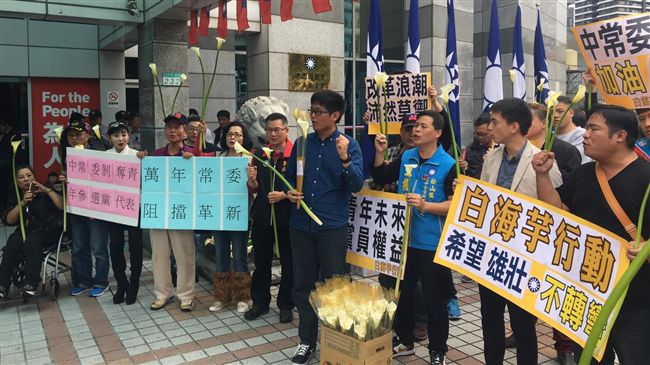 藍常會再議黨代表資格　場外諷白海豚