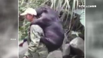 神勇獵人扛山豬　姿勢如「背背包」！