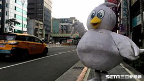 酷鳥姊姊。（圖／酷鳥航提供）