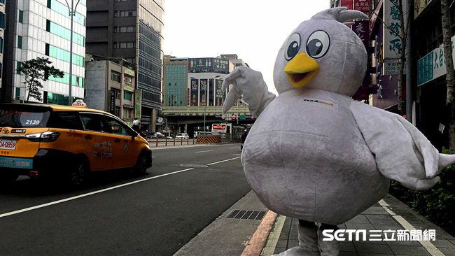 認識酷鳥姊姊？合照就抽免費機票