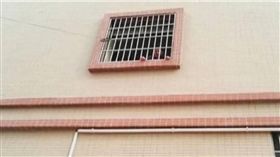 大陸,房東,房客,房租,欠租,惠州,租屋　圖／翻攝自微博