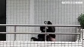 日前《爆料公社》某高中情侶在校內上演活春宮的原始影片曝光（翻攝畫面）