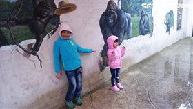 週六快到北市動物園　小朋友免費還可抽平板