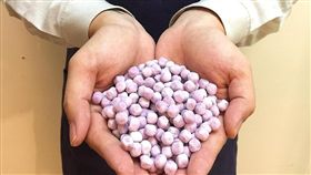 就這三天！丸作「戀愛的志明」第二杯半價