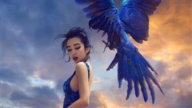 李冰冰（圖／翻攝自李冰冰微博）