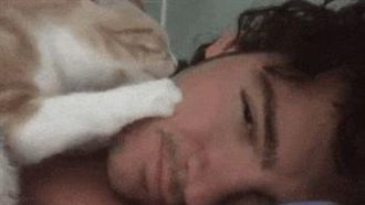 小貓被領養回家後　竟然這樣對主人